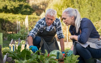 Warm Weather Tips for Hearing Aid Users