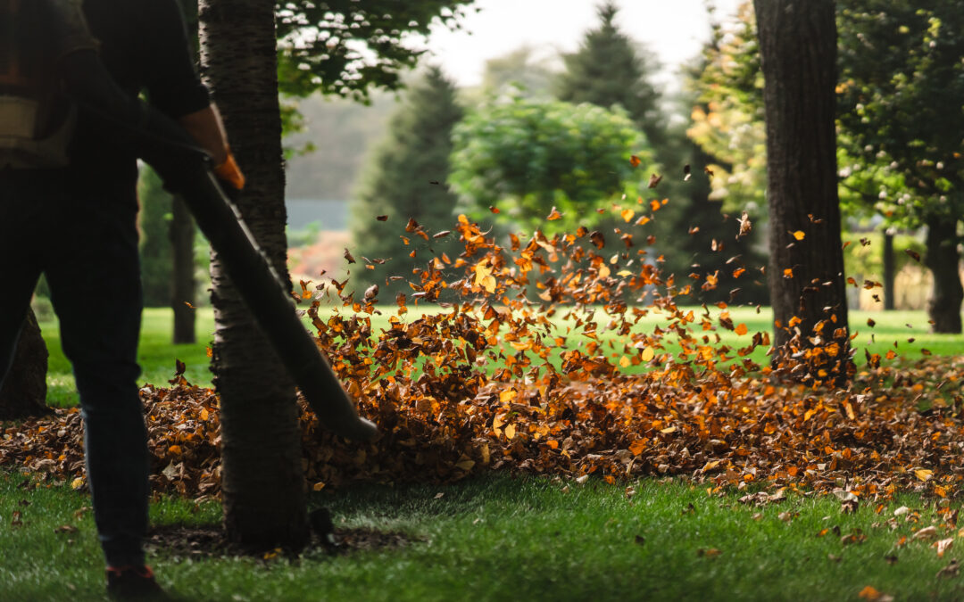The Invisible Intruder: Navigating the Surge of Seasonal Noise Pollution